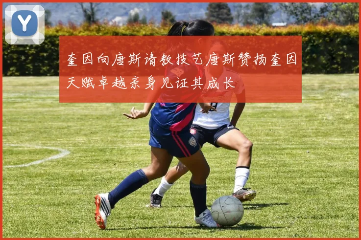 奎因向唐斯请教技艺唐斯赞扬奎因天赋卓越亲身见证其成长